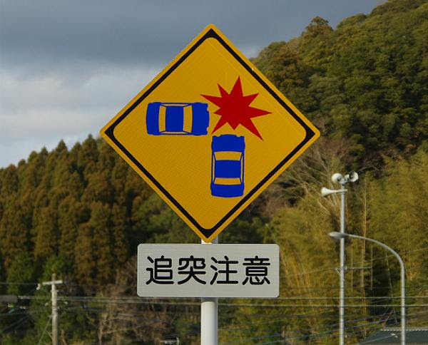 変なもの発見