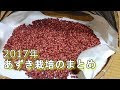 画像をダウンロード 小豆 育て 方 117032-小豆育て方蒔き時