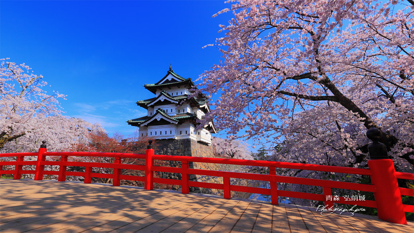 弘前城 下乗橋 の壁紙 1366x768 ノートパソコンに使える1366x768 Hd