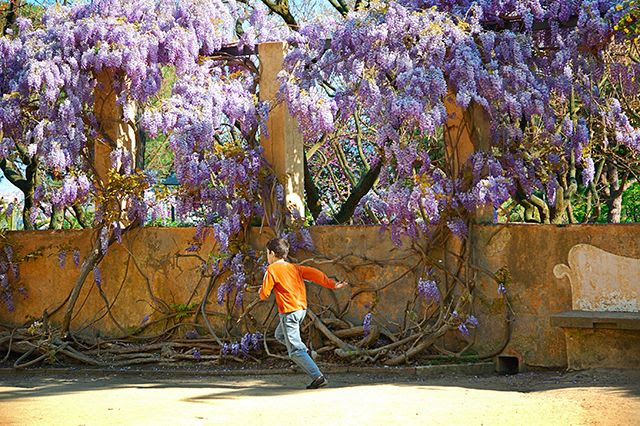 Running Kid at Parc del Laberint d'Horta, Barcelona [enlarge]