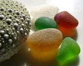Catch of the Day frosty loose sea glass supplies