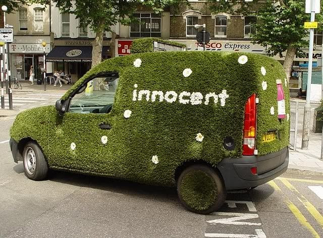 http://i1127.photobucket.com/albums/l624/jexgill/Amazing%20Grass%20-%20Covered%20Cars/img56-0large.jpg