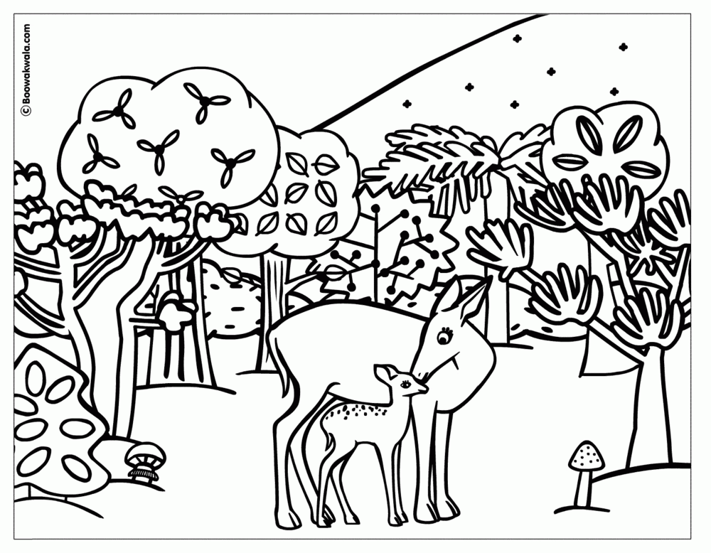 forest animals coloring pages - Clip Art Library
