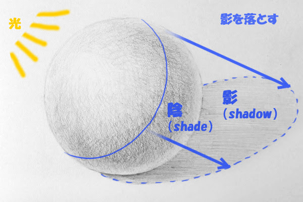 球体をデッサンする エイミーのアトリエ