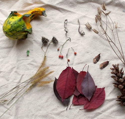 gourd bird supplies