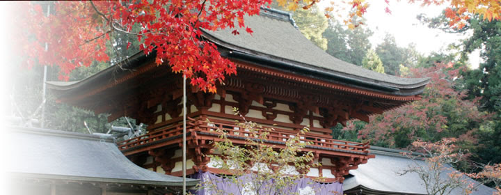 神社のご紹介5 和歌山で 結婚式 和婚式 神前結婚式のことなら 結 Musubi