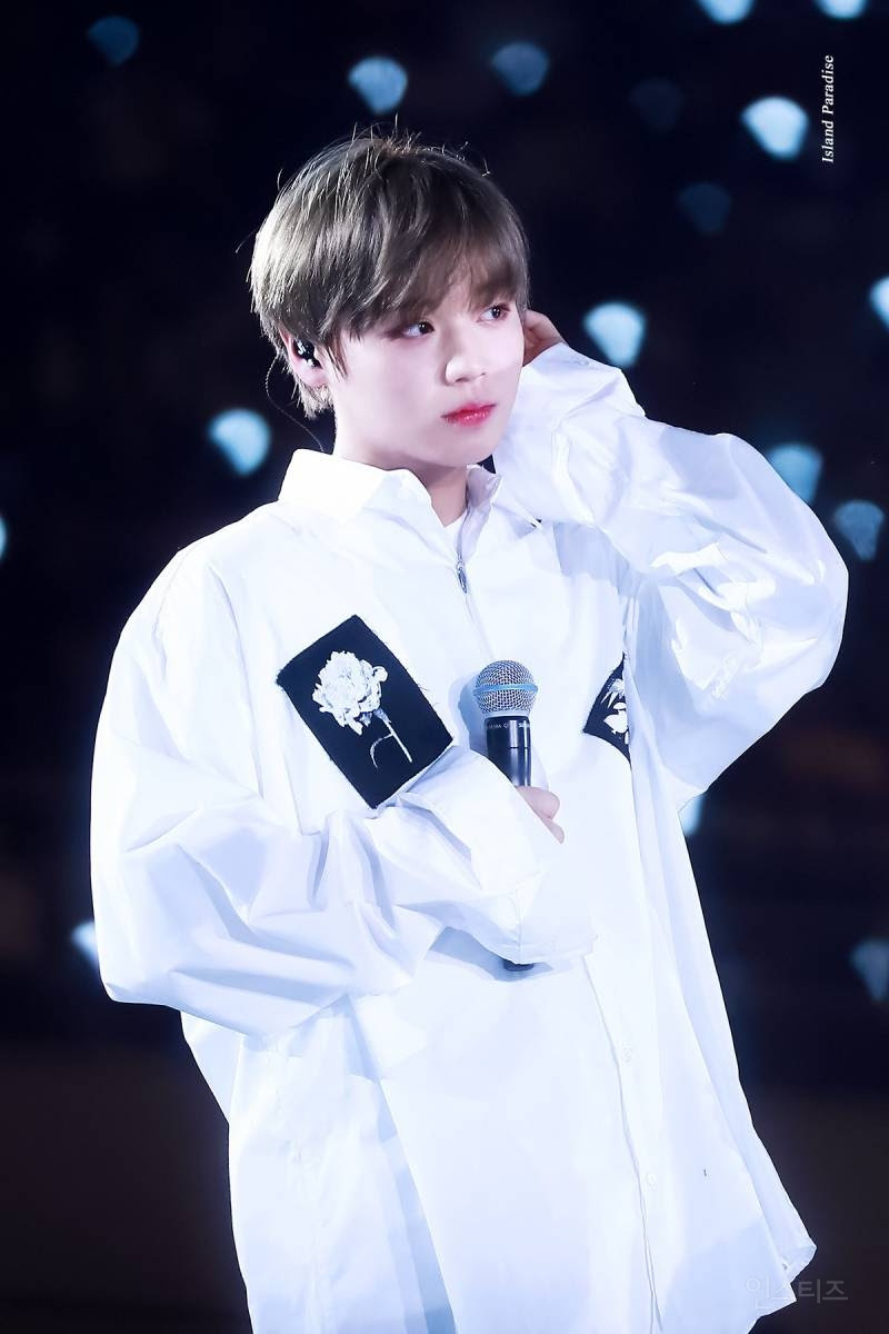 s really amazing for a rookie idol who simply debuted  The shocking sum of fansites that this rookie idol has