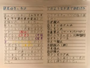 自由研究紫キャベツ理科化学の実験のまとめ方 高学年女の子の水性ペンによる提出用 関西中学受験体験ブログ 目指せ中学受験 コッコとたぬりの大冒険 18年受験体験記22年受験を目指す過程をお伝えします