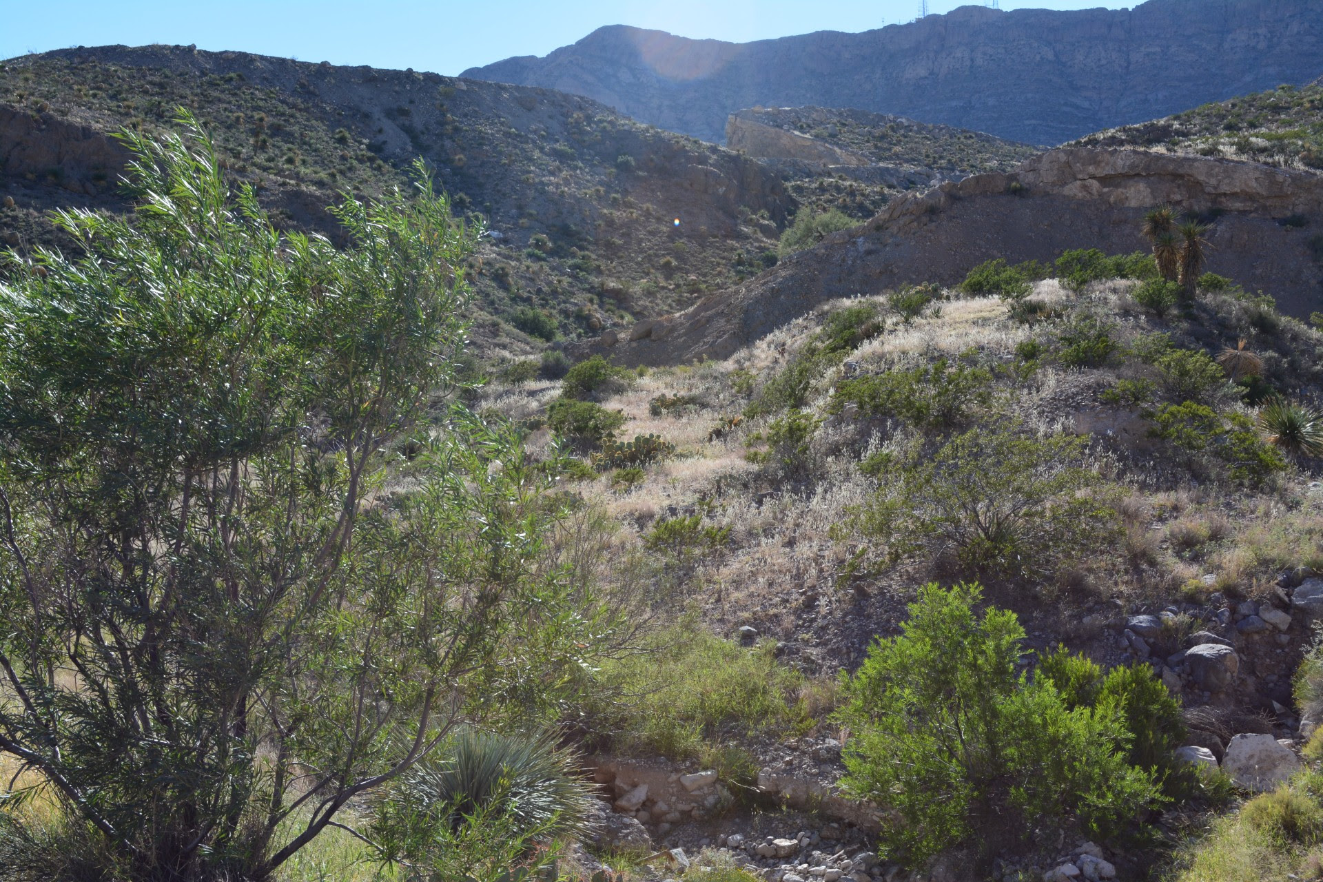 franklin mountain texas state park