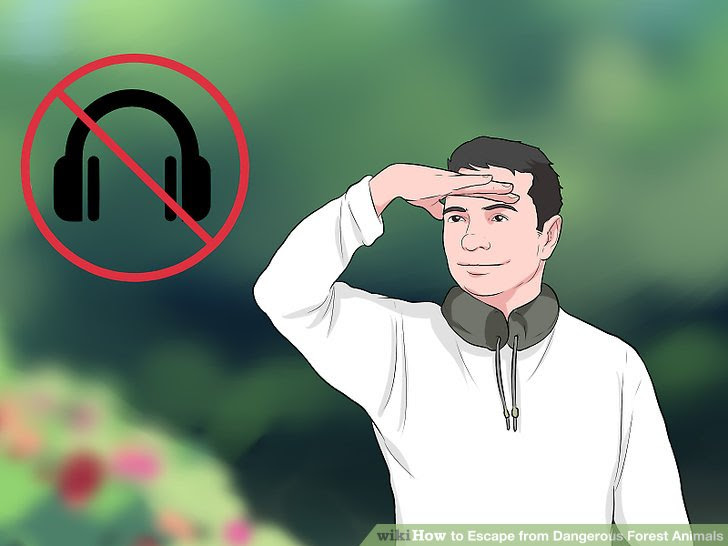 Escape from Dangerous Forest Animals Step 18 Version 2.jpg