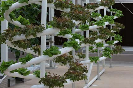 Warehouses to Urban Farms | Planetizen: The Urban Planning, Design ...