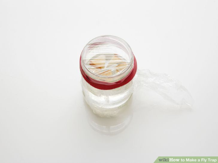 Make a Fly Trap Step 24 Version 3.jpg