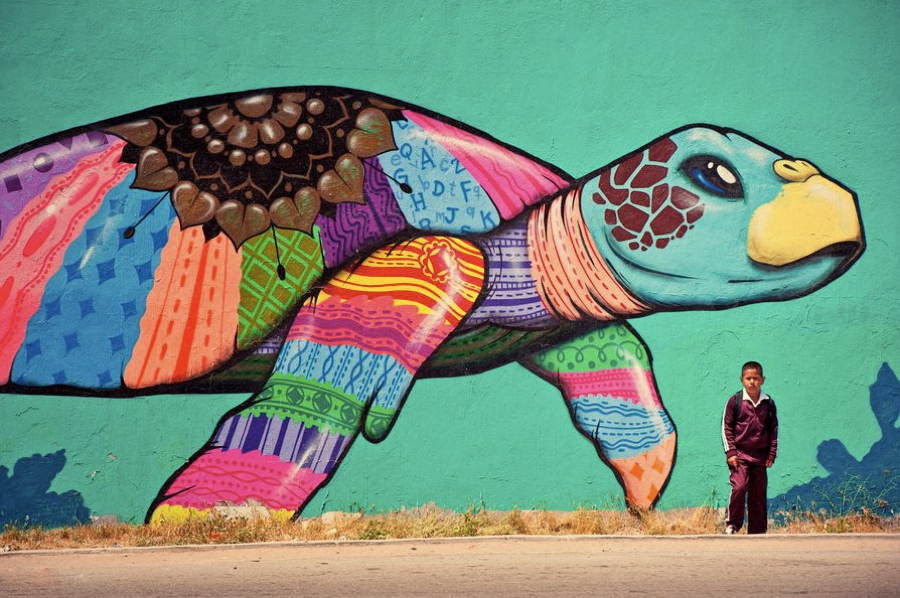 street-art-2013-turtle-tijuana