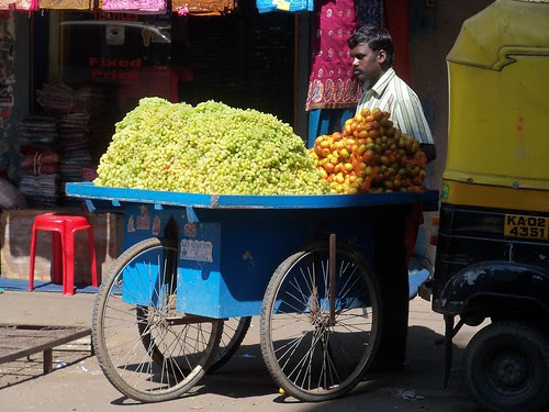 100_1653 by rajesh_dangi