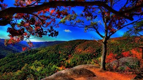 nature wallpaper full hd download for pc Hd nature wallpapers for
desktop (65+ images)