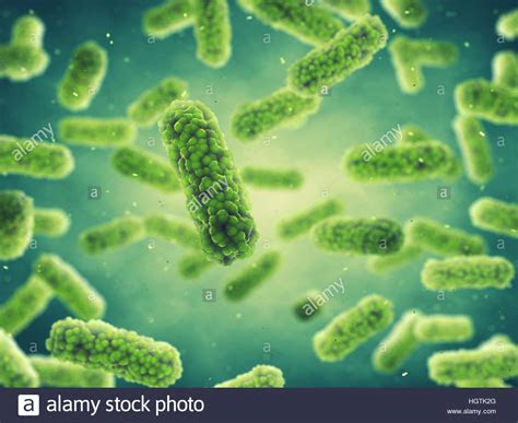 bacteria germ infection epidemic bacterial disease