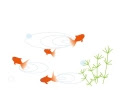 √画像をダウンロード 金魚 暑中 見舞い イラスト 215946