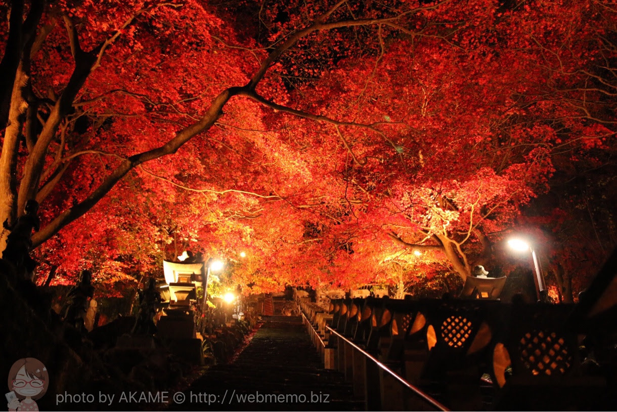 A 神奈川県 大山寺 阿夫利神社 のライトアップ紅葉が見頃 1度は見たい絶景広がる あかめ女子のwebメモ