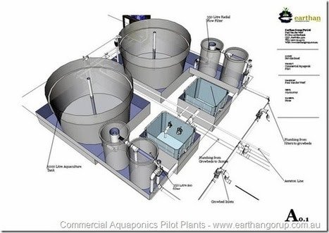 free commercial aquaponics pilot construction p...