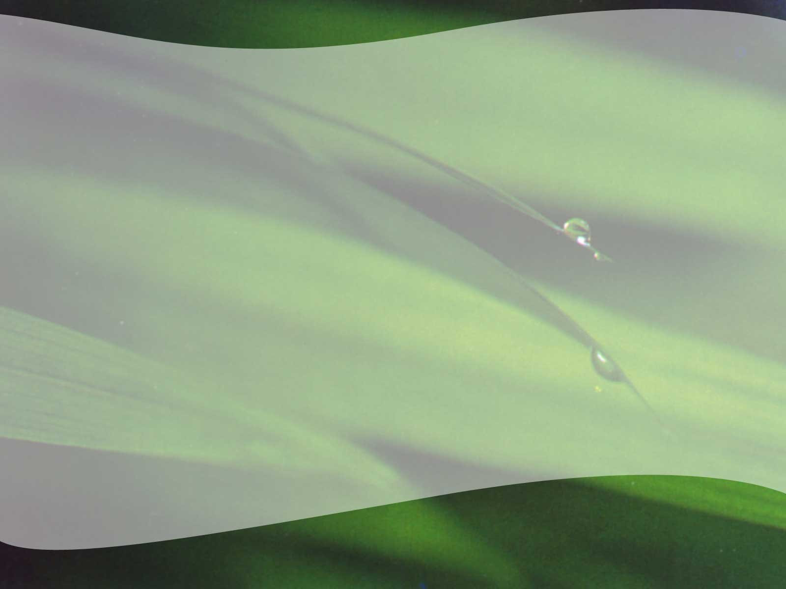 powerpoint backgrounds