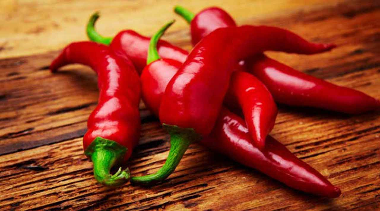 Chili pepper