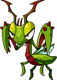 Blood Mantis