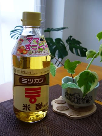 アブラムシ駆除で最も効果ある方法はコーヒー 酢 重曹 牛乳 生活の知恵 お役立ち情報