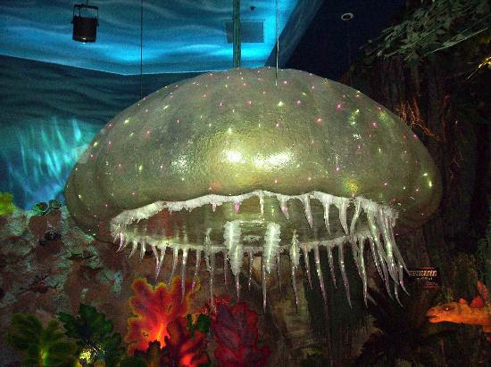 Giant jellyfish