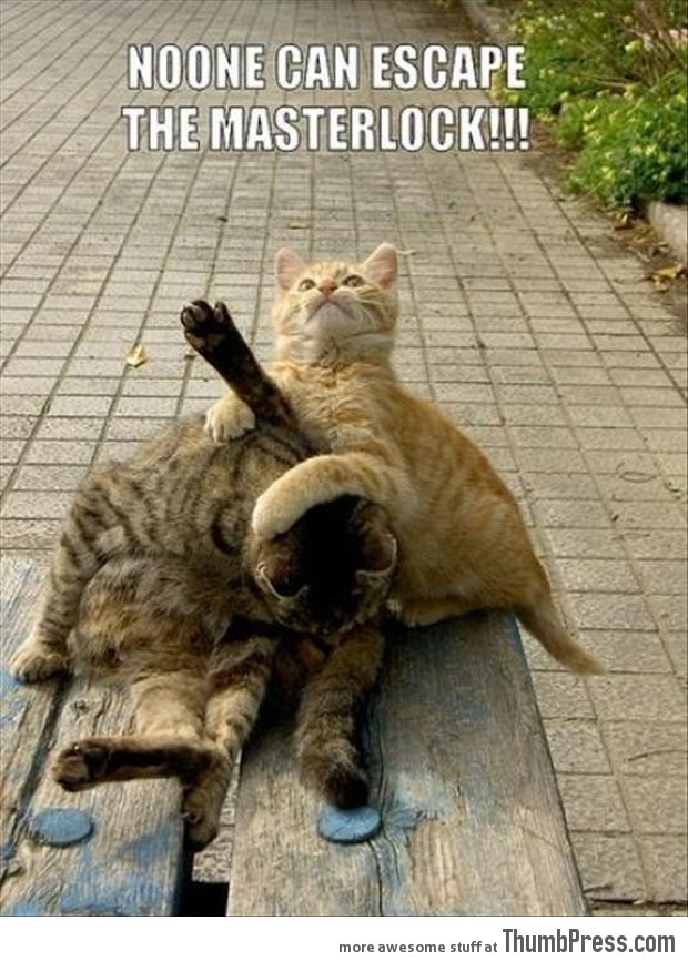 45 Absolutely Hilarious Pictures of Animals to Make You Laugh