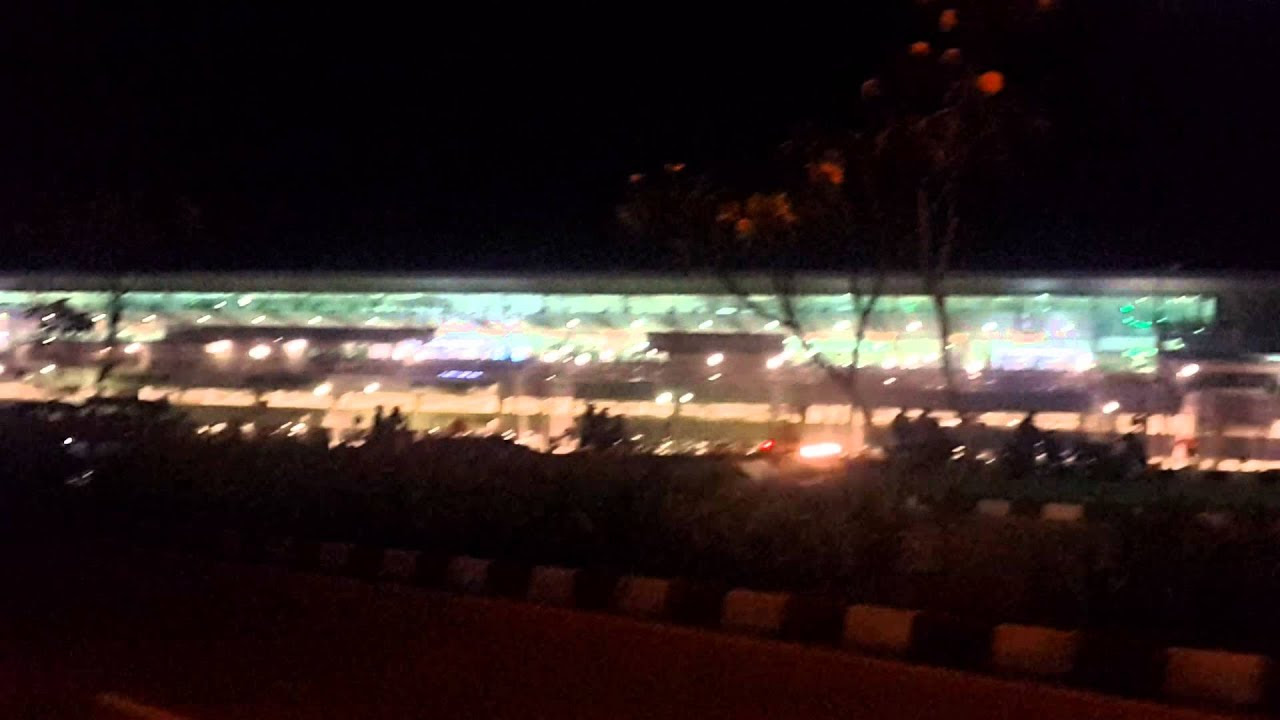 tanaman obat khas kalimantan barat