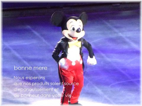 ディズニー オン アイス 13 Bonne Mere ショップブログ