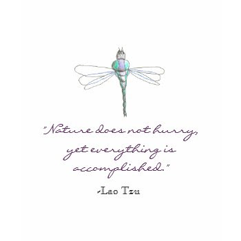 philosophy of life quotes. Philosophy of Life quotes