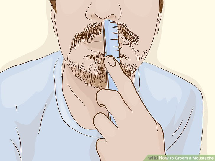 Groom a Moustache Step 1.jpg