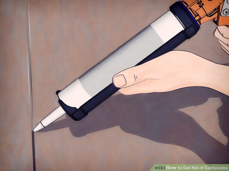 Get Rid of Centipedes Step 9 Version 2.jpg