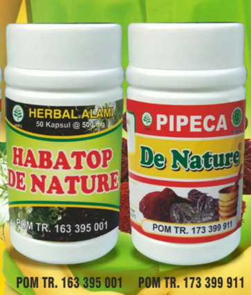 Cara Mengobati Penyakit Liver Dengan Cepat Home