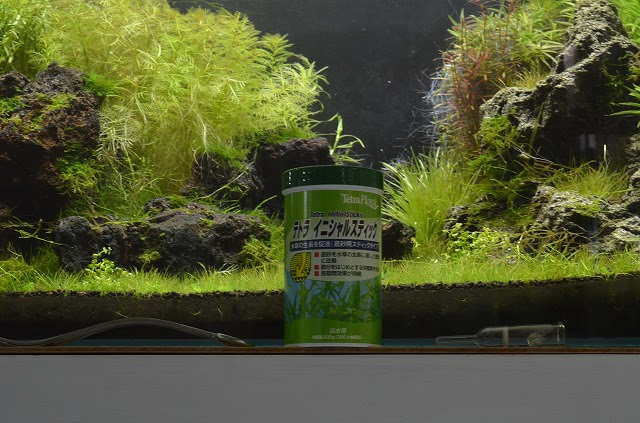 テトライニシャルスティックそして今一番気になるもの Chayaebi