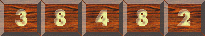 web counter