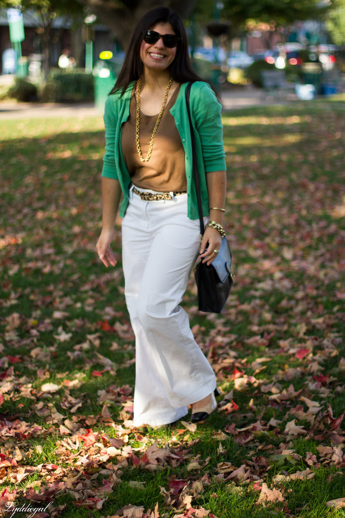 Leaves Fall-2.jpg