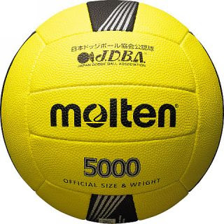 ドッチボール ドッジボール ドッヂボール 正式名称はコチラ いろはにほへどっとこむ