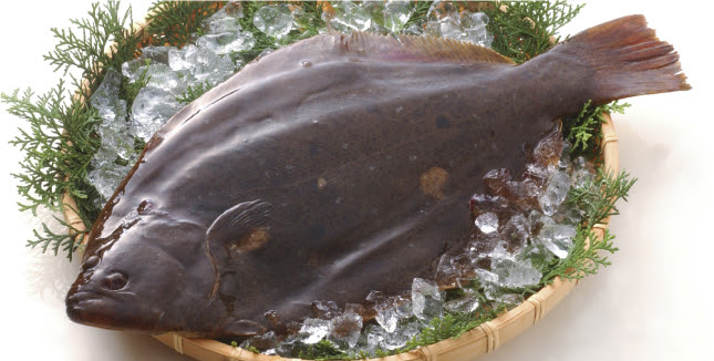 ã²ãã é® å¤§éªå¸ä¸­å¤®å¸å£²å¸å ´