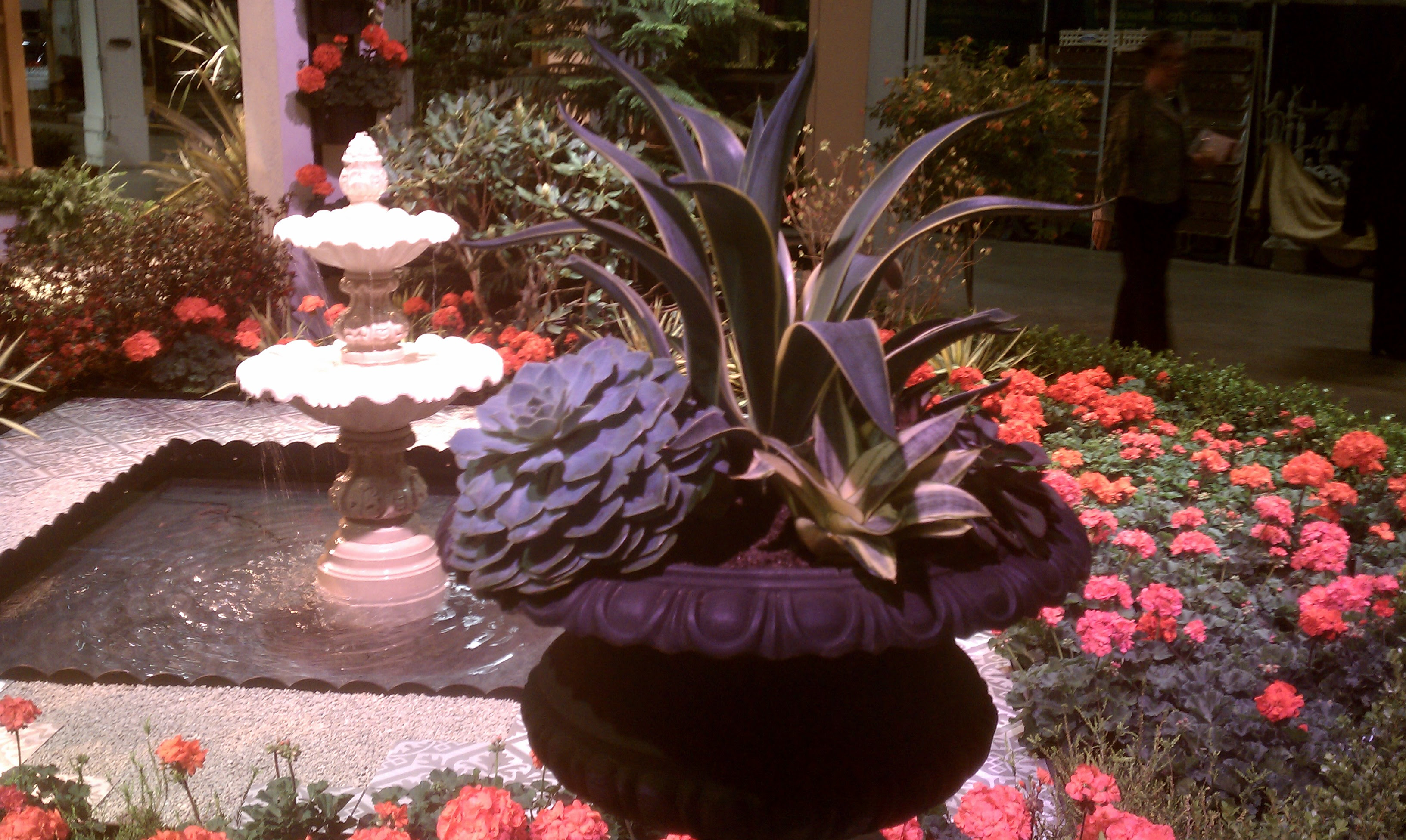 container gardens | City Garden Ideas