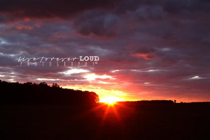  photo sunsetpost.jpg