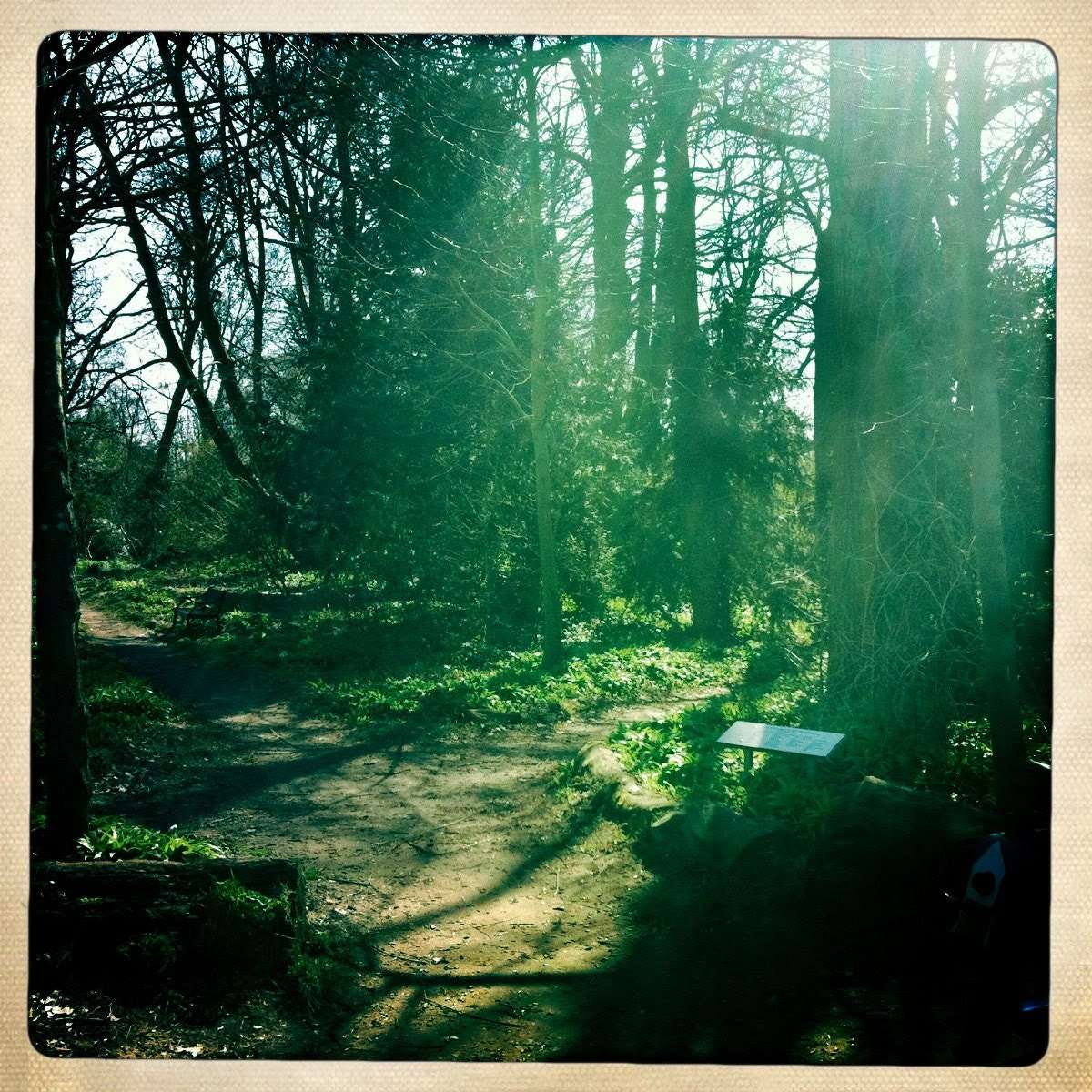 park Frankendael,