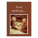Sorry so Sad for You Encouraging Kitten Animal Card