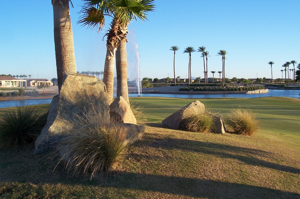 nursing homes in sun city az