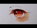 [最も共有された！ √] 茶色 目 イラスト 綺麗 310429