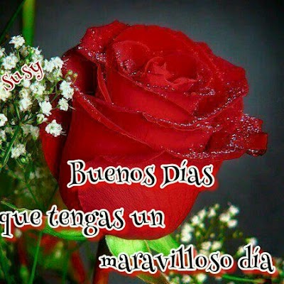 Flores con frases de buenos dias mi amor