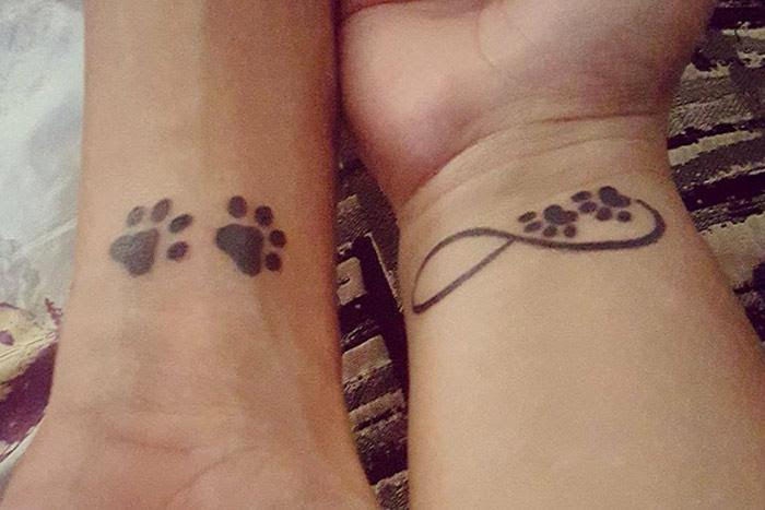 Paws