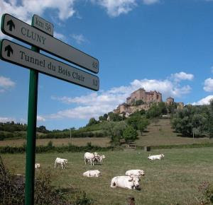 La grande boucle de Bourgogne du Sud