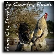 From City Streets to Country Roads
